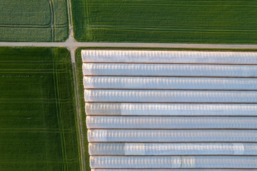 an-aerial-view-of-a-green-field-and-a-white-building-9mq0wu52hrm